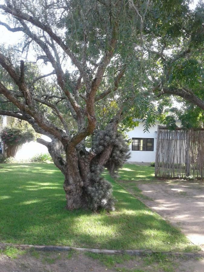 Guinea Fowl Villa Плетенбърг Бей Екстериор снимка